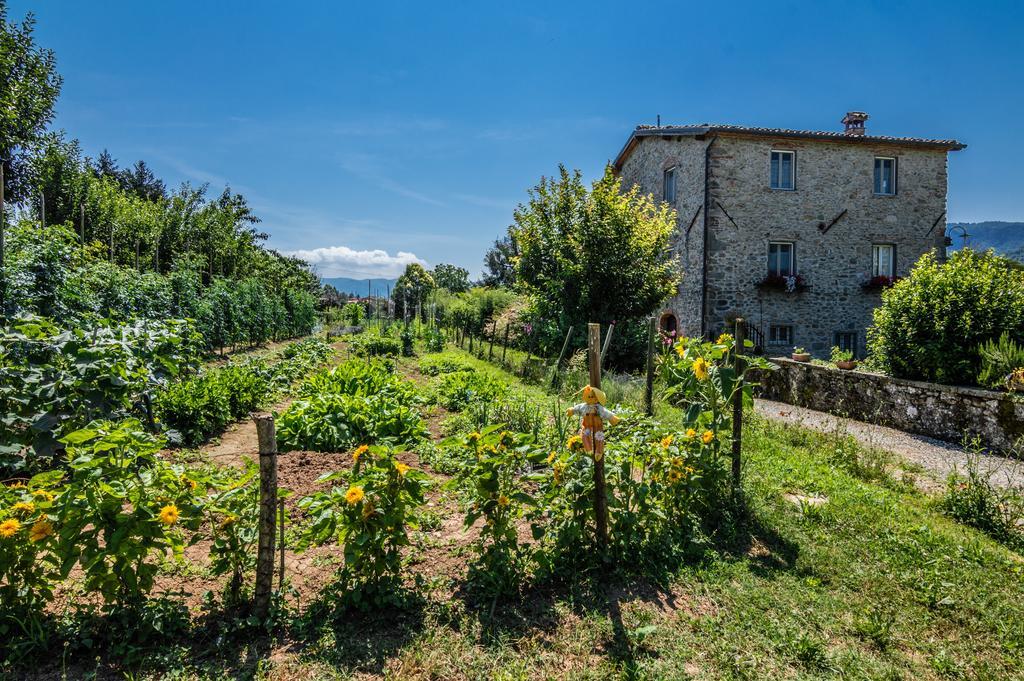 Agriturismo Chioi Barga Exterior photo